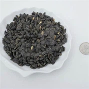 Fuglamatur Sólblómafræ