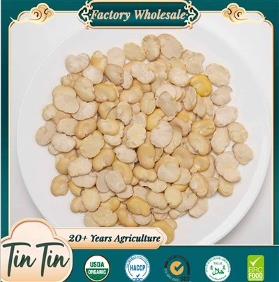 Fava Beans Spring Delicious Messenger