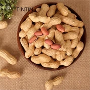 Hágæða 100% náttúruleg hneta í skel