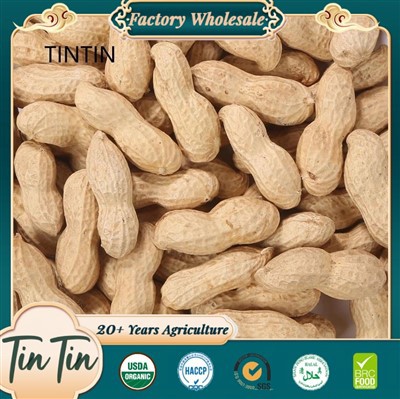 Hollar kínverskar ristaðar hnetur í skel